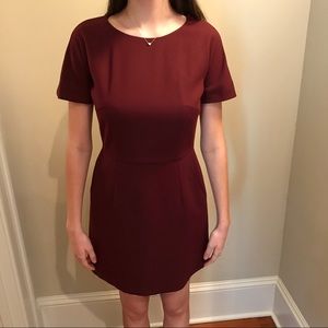 French Connection maroon dress